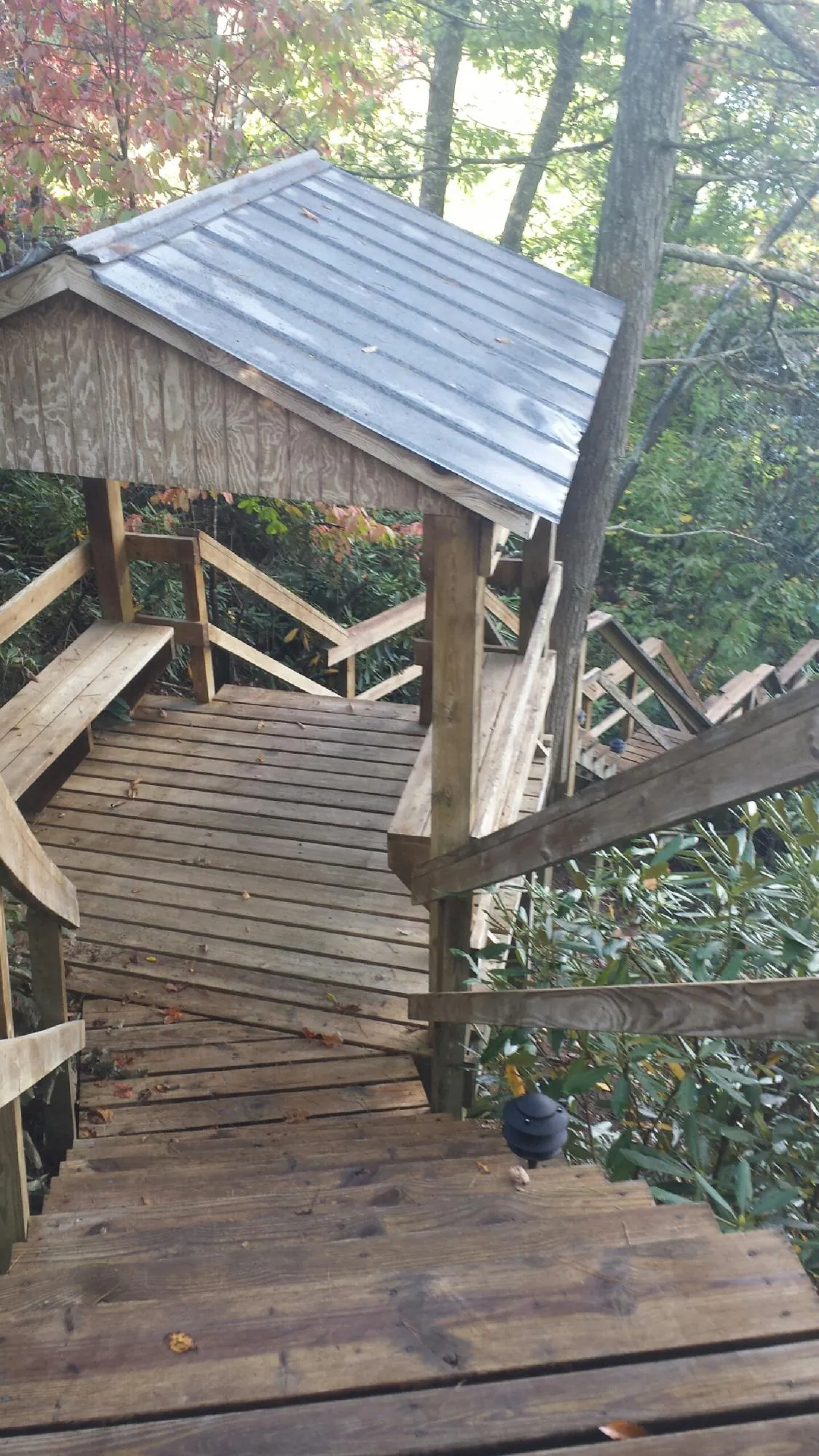 Metal roofed shelter over wooden steps on a wooded walkway — Skylight Repair & Installation work by our crew in Mc Caysville
